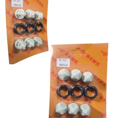 Set supape admisie/evacuare pompă HAWK serie NMT